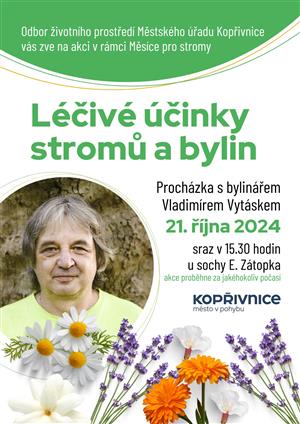 Léčivé účinky stromů a bylin - plakát