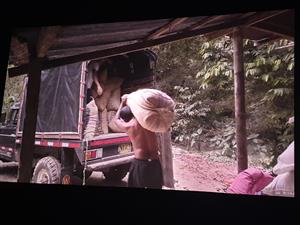 Film, kafe a jednohubka 5