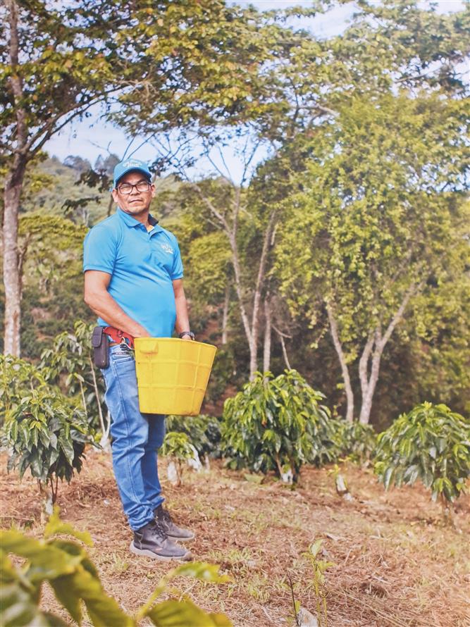 Výstava na stromech 5