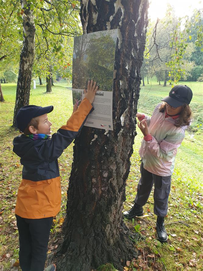 Výstava na stromech 3