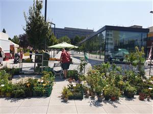 Farmářský trh, červen 5