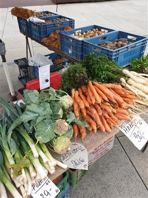 Výstava udržitelné mobility na farmářském trhu, září 3
