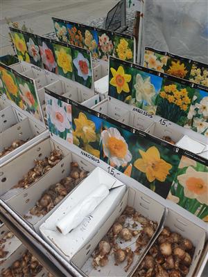 Farmářský trh s myklogogickou poradnou a stanem zdraví 6