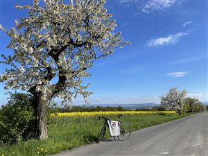 KOPRtoUR Fotosoutěž Do práce na kole 5