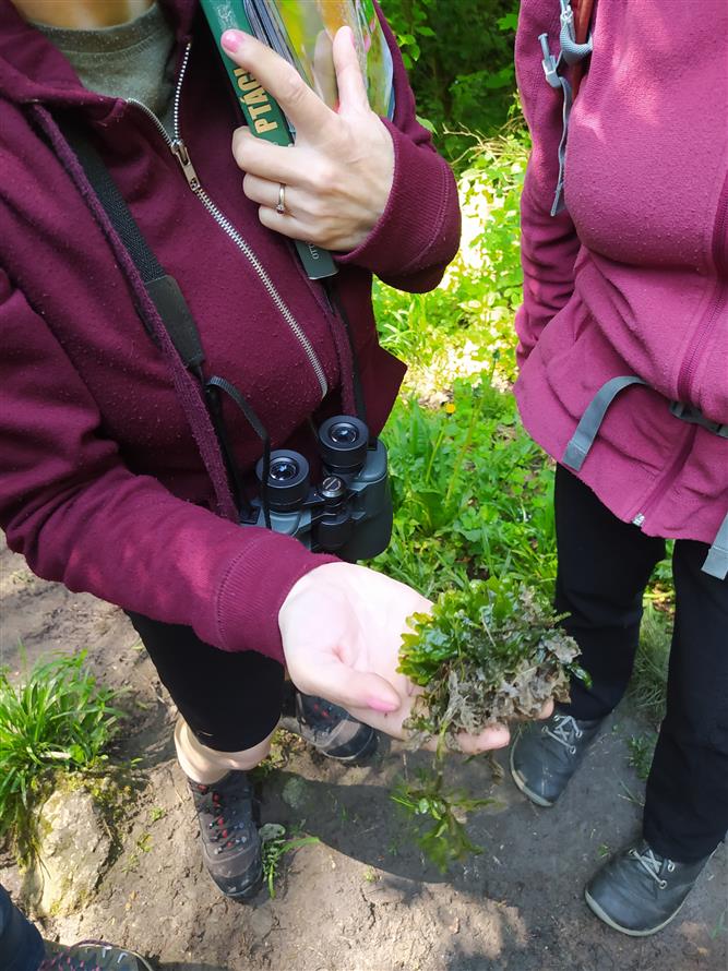 KOPRtoUR Vycházky do přírody s odborníky 9