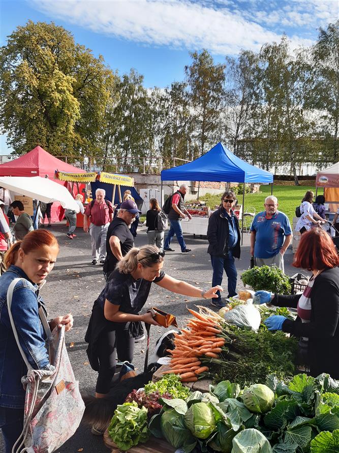 Zdravíčko a mykologická poradna na IV farmářském trhu  12