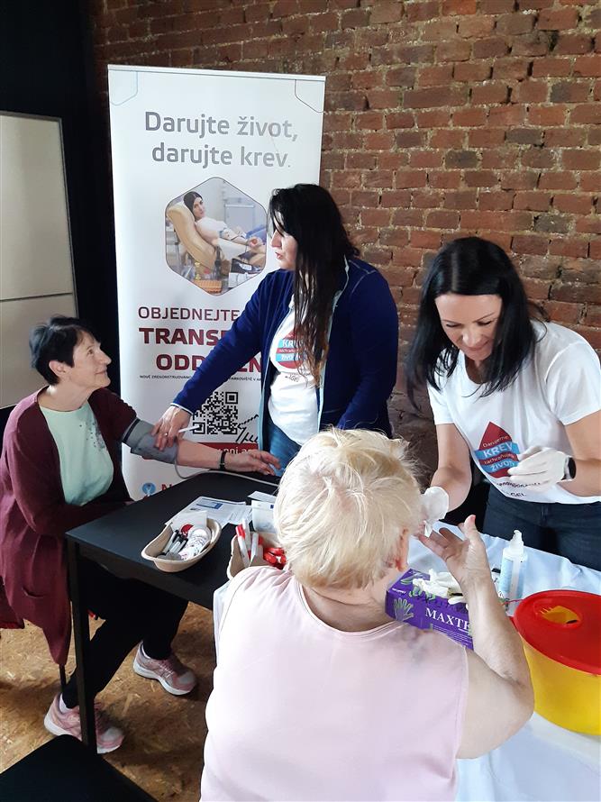 Zdravíčko a mykologická poradna na IV farmářském trhu  2