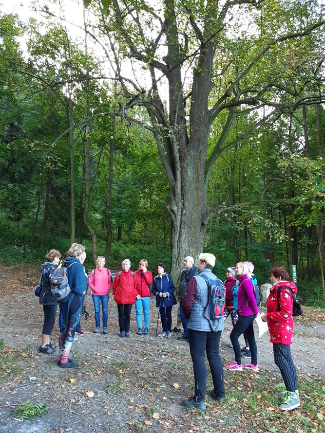 KOPRtoUR Lesní mysl 9