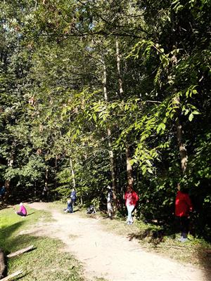 KOPRtoUR Lesní mysl 5