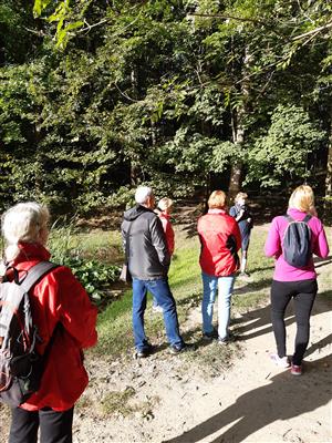 KOPRtoUR Lesní mysl 2