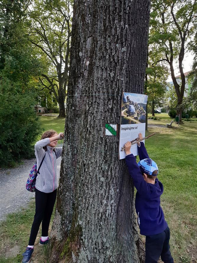 Výstava na stromech 1