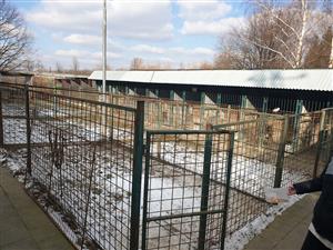 Kulatý stůl na téma Psí útulek Kopřivnice 9