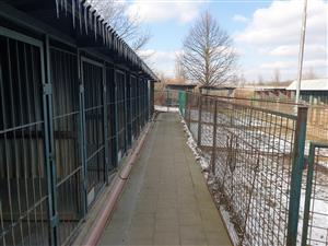 Kulatý stůl na téma Psí útulek Kopřivnice 7