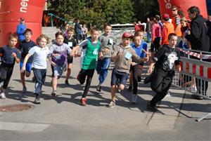 BDK201009180929462010