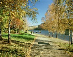 Větřkovická přehrada - rybaření