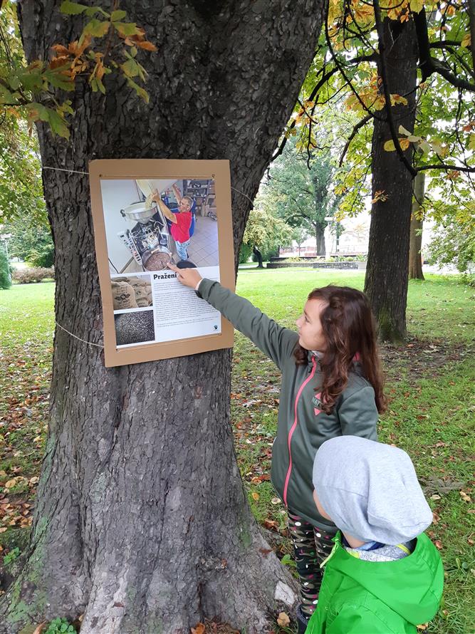 Výstava na stromech 2022 2