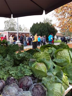 Podzimní dny zdraví (Farmářský trh, měření tělesných hodnot, mykologická poradna) 8