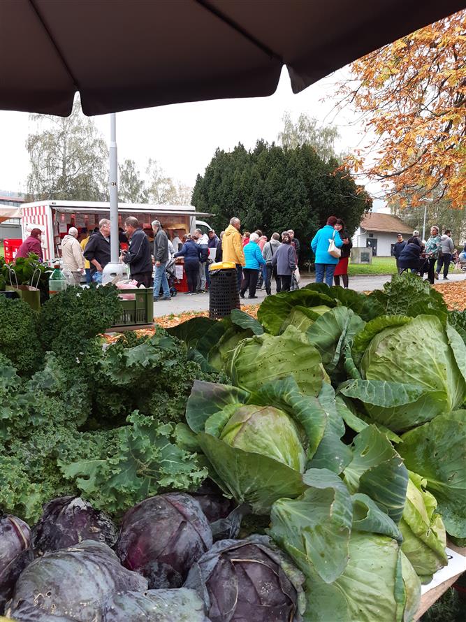 Podzimní dny zdraví (Farmářský trh, měření tělesných hodnot, mykologická poradna) 8