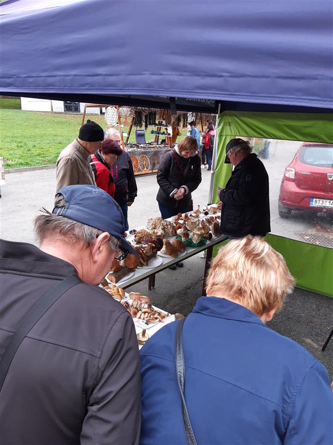 Podzimní dny zdraví (Farmářský trh, měření tělesných hodnot, mykologická poradna) 4