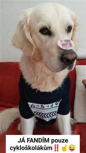 Do práce na kole - fotosoutěž