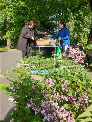 Fairtradový stan na květnovém farmářském trhu 22