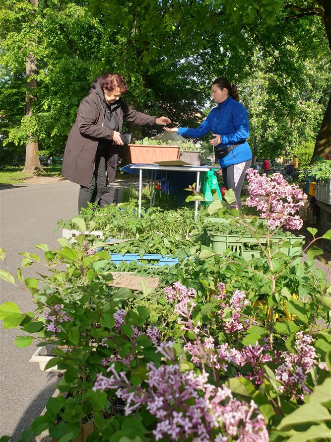 Fairtradový stan na květnovém farmářském trhu 22