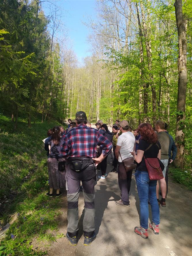 Měsíc pro zemi - Léčivá síla kamenů a bylin 11