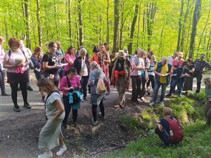 Měsíc pro zemi - Léčivá síla kamenů a bylin 9