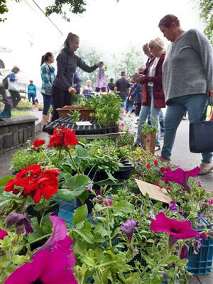 KOPRtoUR Globální stan na farmářském trhu