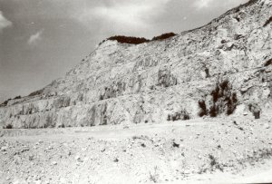 Vápencový lom na Kotouči pomalu zavalují tuny méně kvalitních hornin, které by měla zpracovávat nová cementárna. Její stavba je podle některých ohrožena.<br/>   
ILUSTRAČNÍ FOTO: DAVID MACHÁČEK

