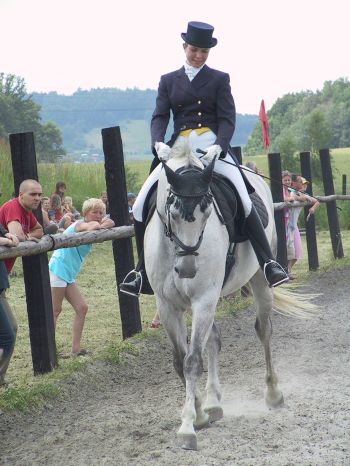 Na výstavě koní byly k vidění i různé druhy drezur.<br/>FOTO: DANA HOĎÁKOVÁ