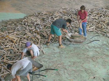 Házenkáři i školáci se mohou těšit na novou palubovku, rekonstrukce haly je v plném proudu.<br/><br/>FOTO: DAVID MACHÁČEK