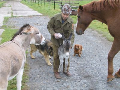 Koně a oslíka pořídil ekologicky hospodařící zemědělec Josef Folta svým dvěma vnukům, přestože ten mladší svůj dárek ještě sleduje z kočárku.<br/>                                                       
FOTO: DAVID MACHÁČEK
