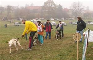Na 1. ročníku závodů psích spřežení - Trnavském sprintu 2005 se představily i děti s koloběžkami. Do soutěže se v mnoha případech zapojily celé rodinné týmy.<br/>                  
FOTO: ILONA HOFFMANNOVÁ
