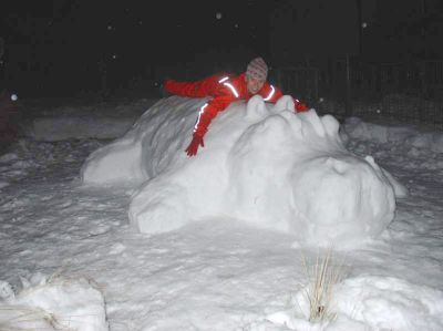 Loňského sněhového trabanta na zahradě rodiny Fabiánových v Petřvaldu na Moravě nahradil letos velký bílý hroch. Nezvyklý domácí miláček se zdrží do první oblevy.<br/>FOTO: ONDŘEJ FAbián