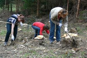 Jednou z akcí pořádaných u příležitosti Dne Země bylo sázení stromků, do kterého se zapojili téměř všichni pracovníci odboru životního prostředí.<br/>                                                
FOTO: DAVID MONSPORT

