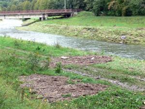 Naplaveniny z kousků dřev, pet lahví a dalšího odpadu „zdobí“ oba břehy řeky Lubiny. Podobný obrázek se naskýtá i na dalších tocích našeho regionu. <br/>FOTO: ILONA MAZALOVÁ