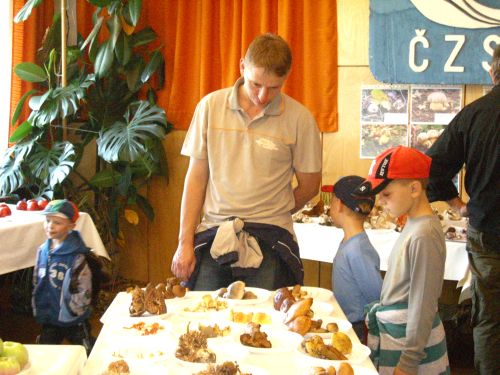 To, že houby v posledních dnech opravdu rostou, se lidé mohli o víkendu přesvědčit i v Lubině. Na tamní výstavě mykolog Jaroslav Durček představil víc jak 200 druhů.<br/>              
FOTO: DANA HOĎÁKOVÁ
