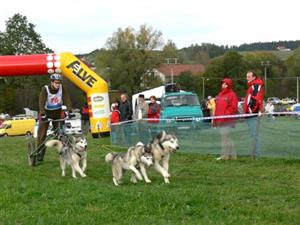Speciální, maximálně odlehčenou tříkolku se závodníkem táhne psí spřežení. Psi jsou při jízdě ovládáni pouze brzdou.<br/>                                                                                     
FOTO: ILONA MAZALOVÁ
