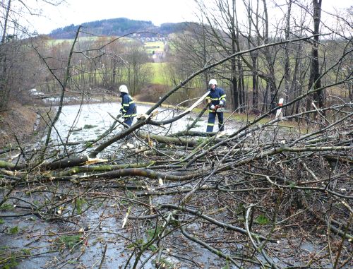 Na cestě do Závišic museli hasiči pořezat a odstranit patnáct stromů, které během sobotní vichřice napadaly na cestu a bránily motoristům v jízdě.<br/>                                           
FOTO: JSDH Kopřivnice
