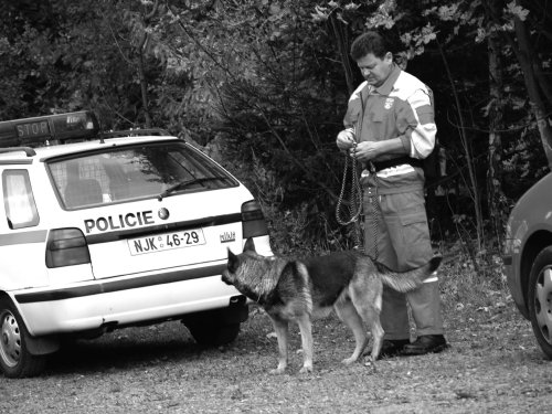 Při pátrací akci bylo sestaveno pět týmů, které prohledávaly 1 200 metrů koridoru v šířce jednoho kilometru.<br/>                                                                                                           
FOTO: ILONA MAZALOVÁ
