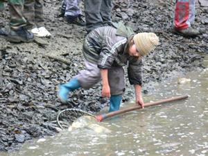 Výlov rybníku v Petřvaldě přitáhl stovky návštěvníků. Už od rána se tvořila fronta zájemců o živé kapry, opomíjeny nezůstaly ani rybí speciality připravované na místě. <br/>
FOTO: ILONA MAZALOVÁ
