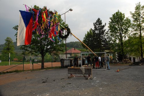 Nikoliv na jeřáby a jinou těžkou techniku, ale pouze na sílu vlastních paží se museli spolehnout muži z Mniší při stavbě májky tradiční technikou.<br/> 
FOTO: DAVID MACHÁČEK
