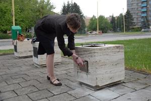 Tisková mluvčí radnice ukládá zpět do památníku prsť ze Stalingradu. Tu kryje nová bronzová deska, původní byla ukradena.<br/>
FOTO: DAVID MACHÁČEK
