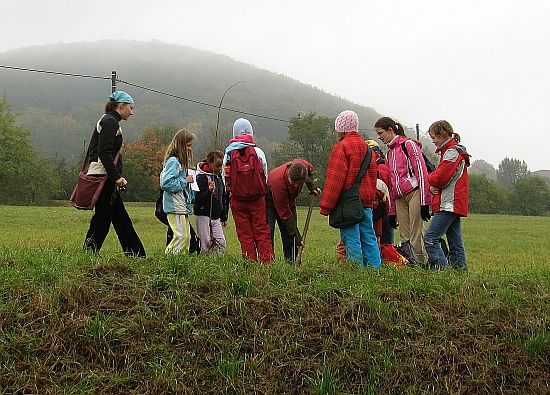 Štramberáci se nadchli pro myšlenku Výroční aleje. Svou lípu si do ní minulou sobotu zasadilo na dvě stě občanů, ale také spolků. S akcí pomáhali také místní Junáci.
FOTO: JAROSLAV MICHNA
