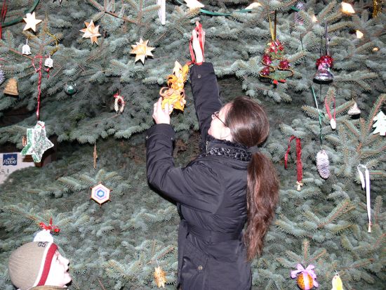 Na vánoční strom na petřvaldské návsi věšeli doma vyrobené ozdoby děti i dospělí. Někteří zavěšovali ozdoby ze země, jiní použili za tímto účelem přistavený žebřík. 
FOTO: ILONA MAZALOVÁ
