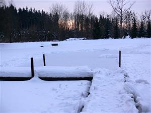 To, co vypadá jako kluziště, je pouze odhrnutý sníh z hladiny komorového rybníka, aby se tak k rybám dostal dostatek světla.
FOTO: ILONA MAZALOVÁ