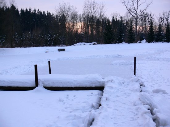 To, co vypadá jako kluziště, je pouze odhrnutý sníh z hladiny komorového rybníka, aby se tak k rybám dostal dostatek světla.
FOTO: ILONA MAZALOVÁ
