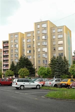 Panelové domy na ulici Alšově se ještě letos dočkají výměny oken,  fasády budou následovat později.
FOTO: DAVID MACHÁČEK