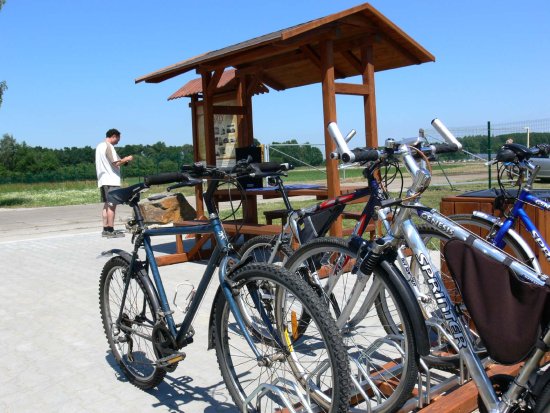Na mezinárodní trase cyklostezky vzniklo mezi Albrechtičkami a Petřvaldíkem cyklistické zastavení, jehož součástí je památník zaniklé obce Harty, která ustoupila výstavbě letiště.
FOTO: ILONA MAZALOVÁ